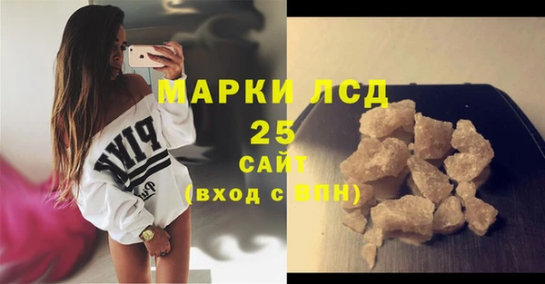 индика Аркадак