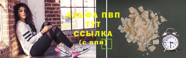 индика Аркадак