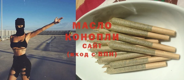 индика Аркадак