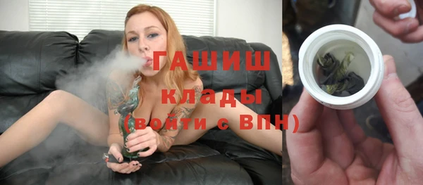 индика Аркадак