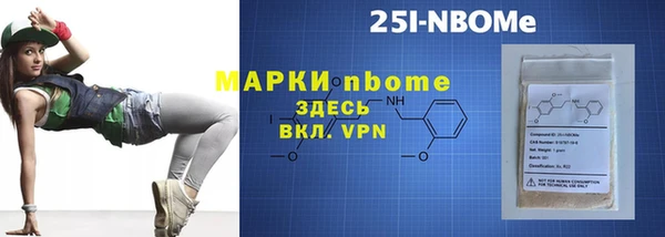 индика Аркадак