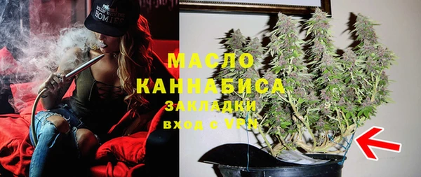 индика Аркадак