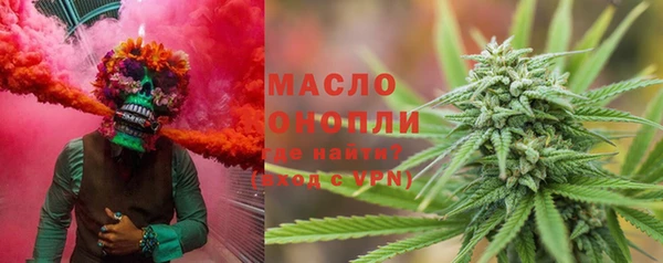индика Аркадак